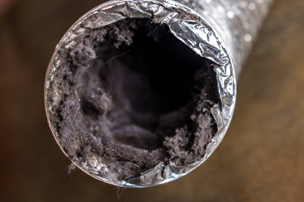 Professional Airduct Cleaning in Acres Green, CO